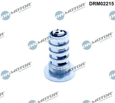 Řídicí ventil, seřízení vačkového hřídele LIZARTE DRM02215