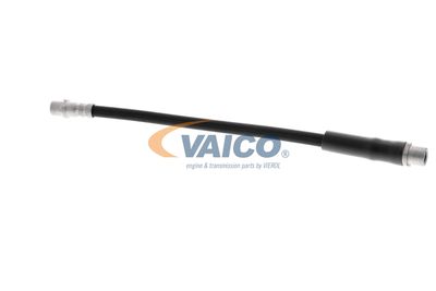 FURTUN FRANA VAICO V250900 14