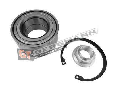 GT-BERGMANN Automotive Rato guolio komplektas