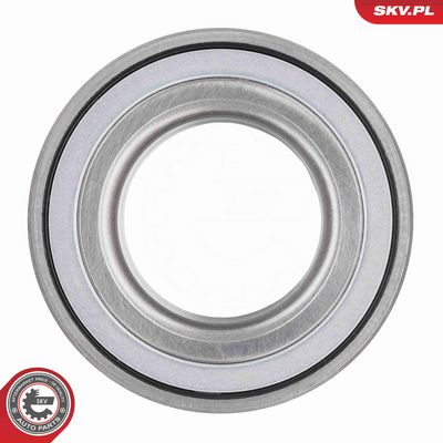 SET RULMENT ROATA ESEN SKV 85SKV056 3