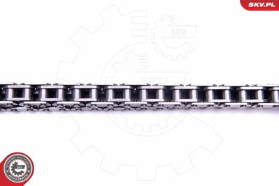 Timing Chain Kit 21SKV158