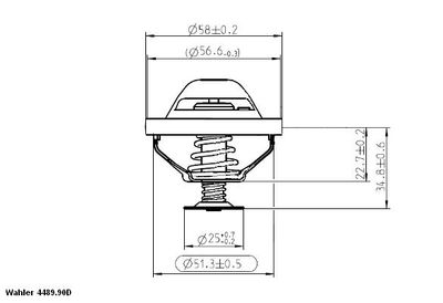 TERMOSTAT LICHID RACIRE