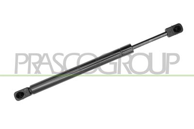 GASFEDER KOFFER-/LADERAUM