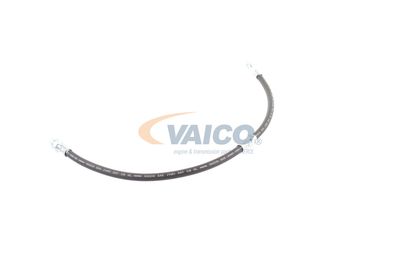 FURTUN FRANA VAICO V103077 31