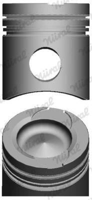 Piston NÜRAL 1910025089