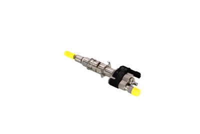 INJECTOR REMANTE 013002002266R 17