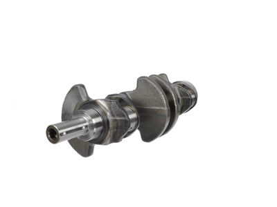 ARBORE COTIT ET ENGINETEAM HK0130 13