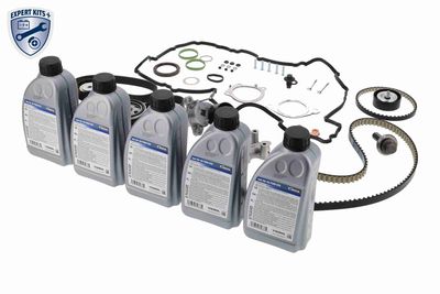 SET CUREA DE DISTRIBUTIE VAICO V253148 6