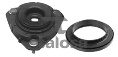 FEDERBEINSTüTZLAGER