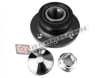 GT-BERGMANN Automotive Rato guolio komplektas