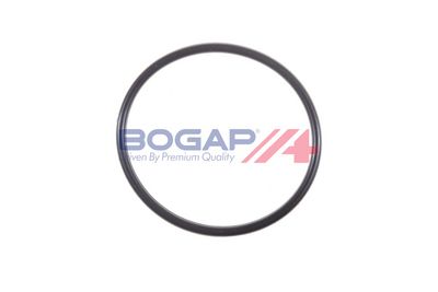 POMPă DE APă RăCIRE MOTOR BOGAP R4234104 5