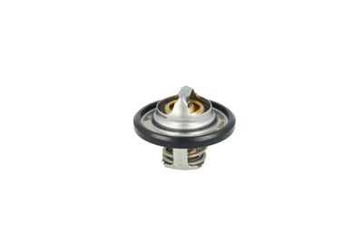 TERMOSTAT LICHID RACIRE NRF 725544 12