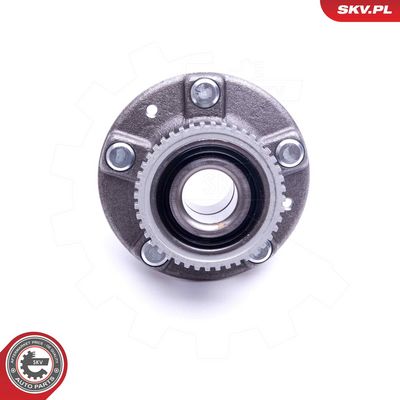 SET RULMENT ROATA ESEN SKV 29SKV399 3
