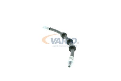 FURTUN FRANA VAICO V959580 12