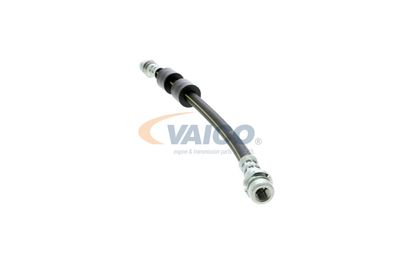 FURTUN FRANA VAICO V251328 20
