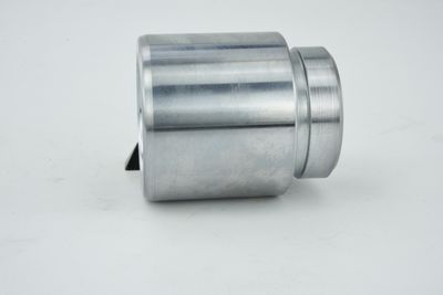 PISTON ETRIER FRANA FEBEST 0176JZX100F 26