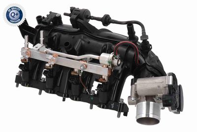 MODUL CONDUCTA ADMISIE VAICO V402331 4