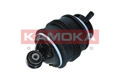 Air Spring, suspension 2079040