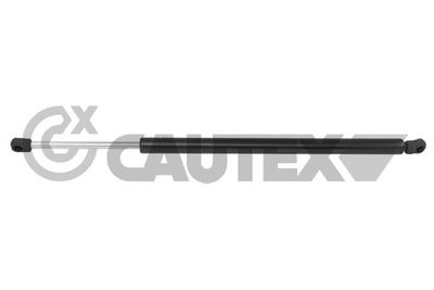 CAUTEX 773152 Амортизатор багажника и капота  для HONDA ACCORD VI (CK, CG, CH, CF) 2.0 i (CG9)