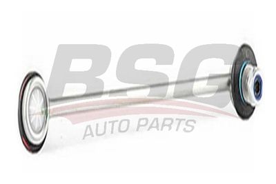 BSG BSG 30-310-143 Стойка стабилизатора  для FORD  (Форд Екоспорт)