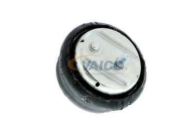 SUPORT MOTOR VAICO V2010261 10