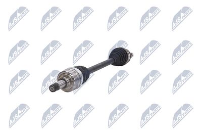 PLANETARA NTY NPWCH090 18