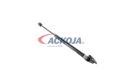 AMORTIZOR PORTBAGAJ ACKOJA A520093 45