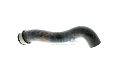 KüHLERSCHLAUCH VAICO V301656 12