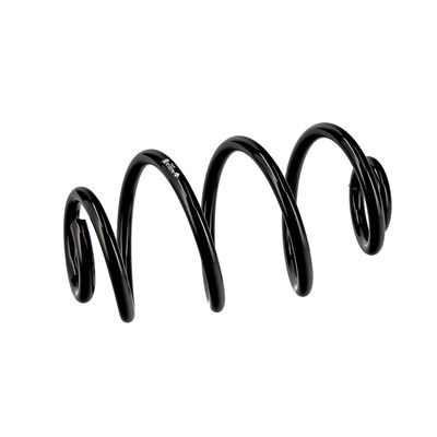 ARC SPIRAL EIBACH R10374 6