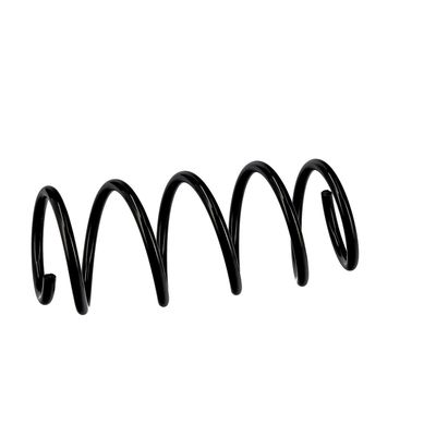 ARC SPIRAL EIBACH R10116 18