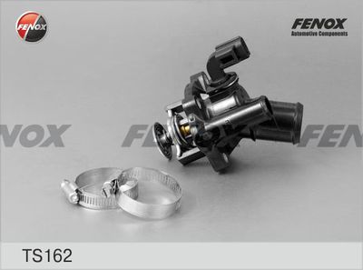 термостат, охладителна течност FENOX TS162