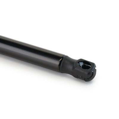 газов амортисьор, багажно/товарно пространство RIDEX 219G1445