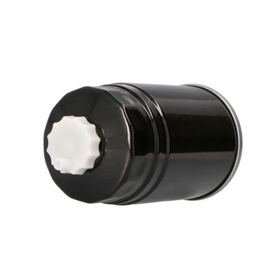 FILTRU COMBUSTIBIL DR!VE+ DP1110130278 3