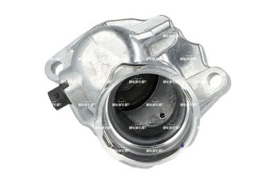 TERMOSTAT LICHID RACIRE NRF 725023 1