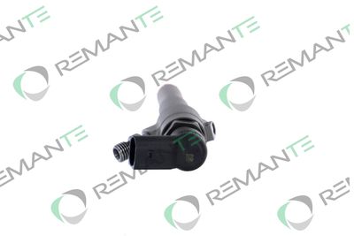 INJECTOR REMANTE 002003001356R 1