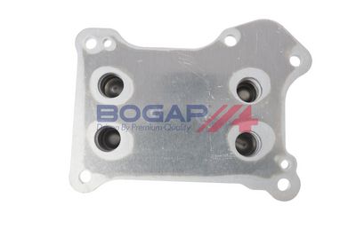 RADIATOR ULEI ULEI MOTOR BOGAP W4222102 3