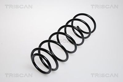 Pružina podvozku TRISCAN 8750 29529