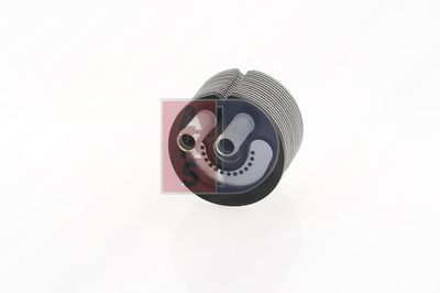 ÖLKüHLER MOTORöL AKS DASIS 186011N 15