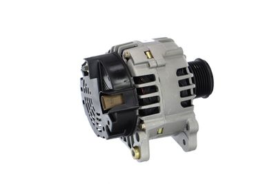 GENERATOR / ALTERNATOR REMANTE 011003000369R 39