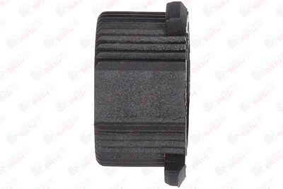 BUCSA ARBORE DE DIRECTIE BIRTH 4143 10