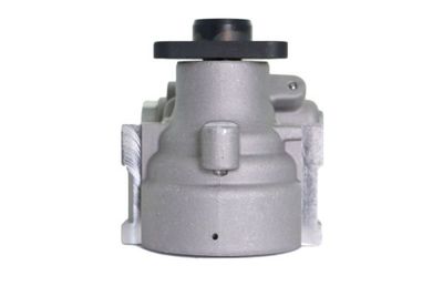 Hydraulic Pump, steering 55.9346