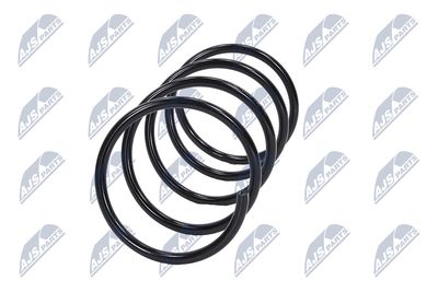 ARC SPIRAL NTY ASZME009 17