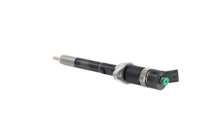 INJECTOR REMANTE 002003001694R 18