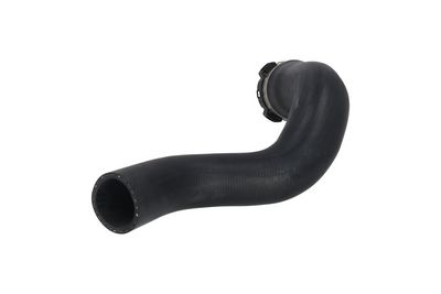 FURTUN EAR SUPRAALIMENTARE