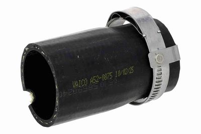 FURTUN EAR SUPRAALIMENTARE ACKOJA A520875 1