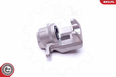 Brake Caliper 45SKV813