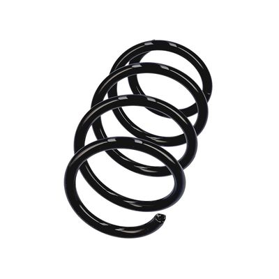 ARC SPIRAL EIBACH R17453 2