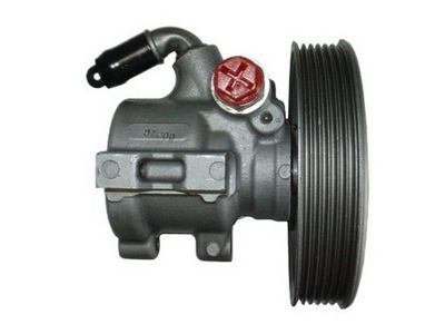 HYDRAULIKPUMPE LENKUNG SPIDAN 53898 2