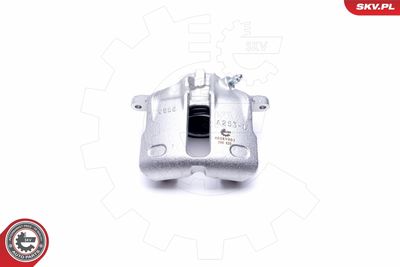 Brake Caliper 46SKV001