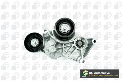 WILMINK GROUP WG2176633 Ролик ремня генератора  для LAND ROVER RANGE ROVER SPORT II (L494) 3.0 SCV6 4x4